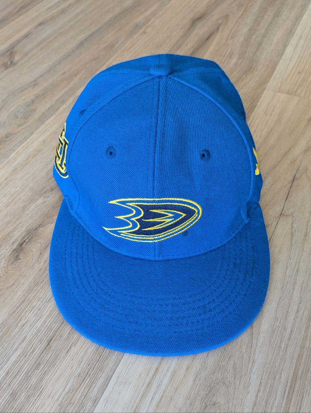 UC Irvine Anteaters x Anaheim Ducks Promo Hat Cap